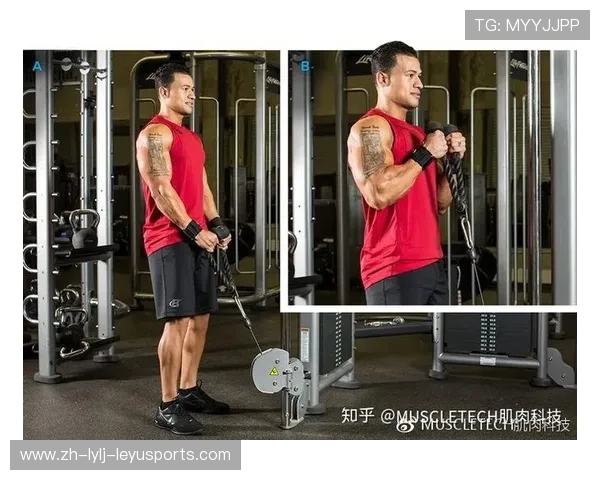 龙门架绳索后踢指南:三维刺激臀大肌的器械使用法则